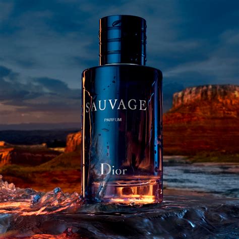 dior sauvage 100ml australia|Dior Sauvage perfume cheapest price.